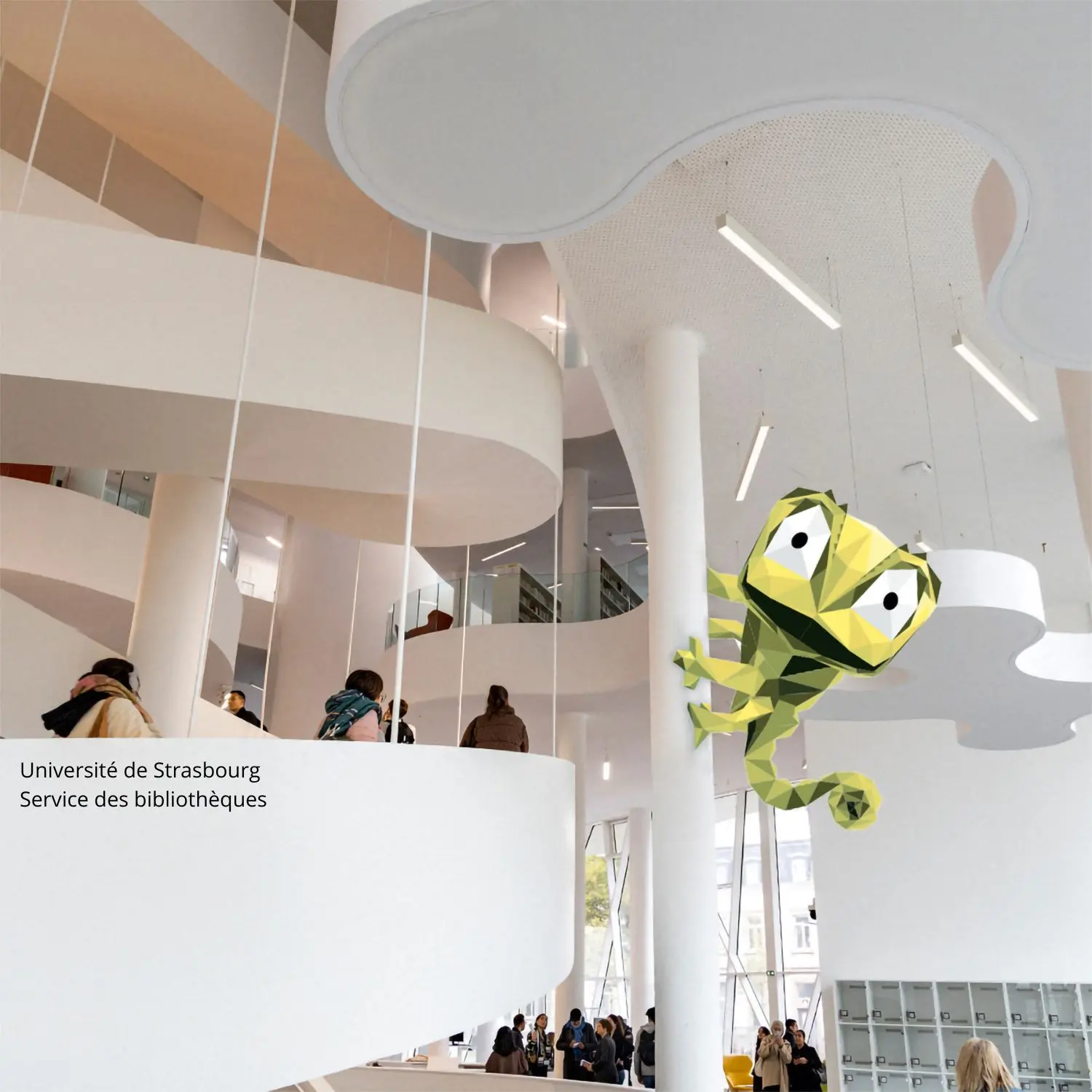 Université de Strasbourg l Service des bibliothèques